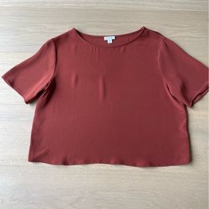 Cuyana Silk Crop Tee Size Small